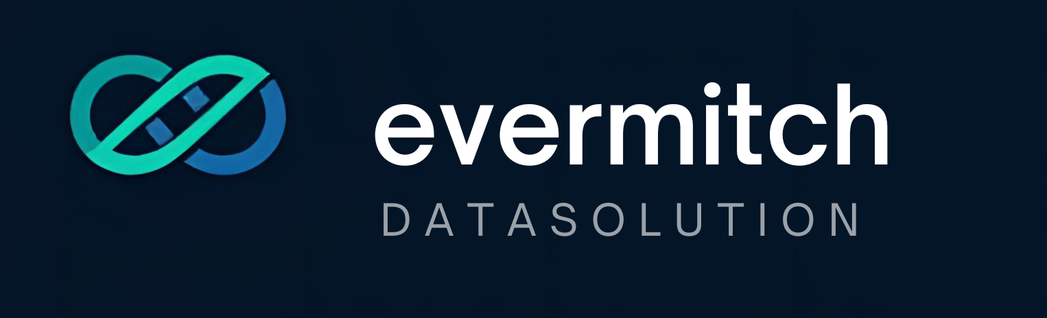 Evermitch datasolution